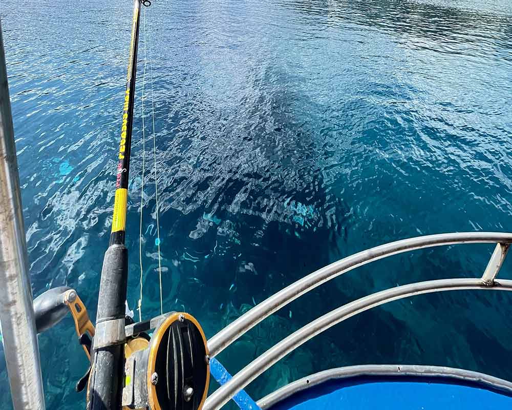 bali fishing trips tailored 16