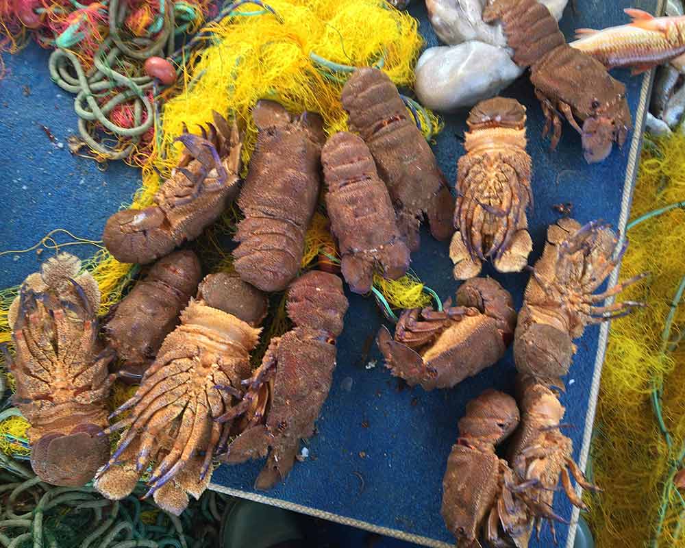bali fishing trips 28