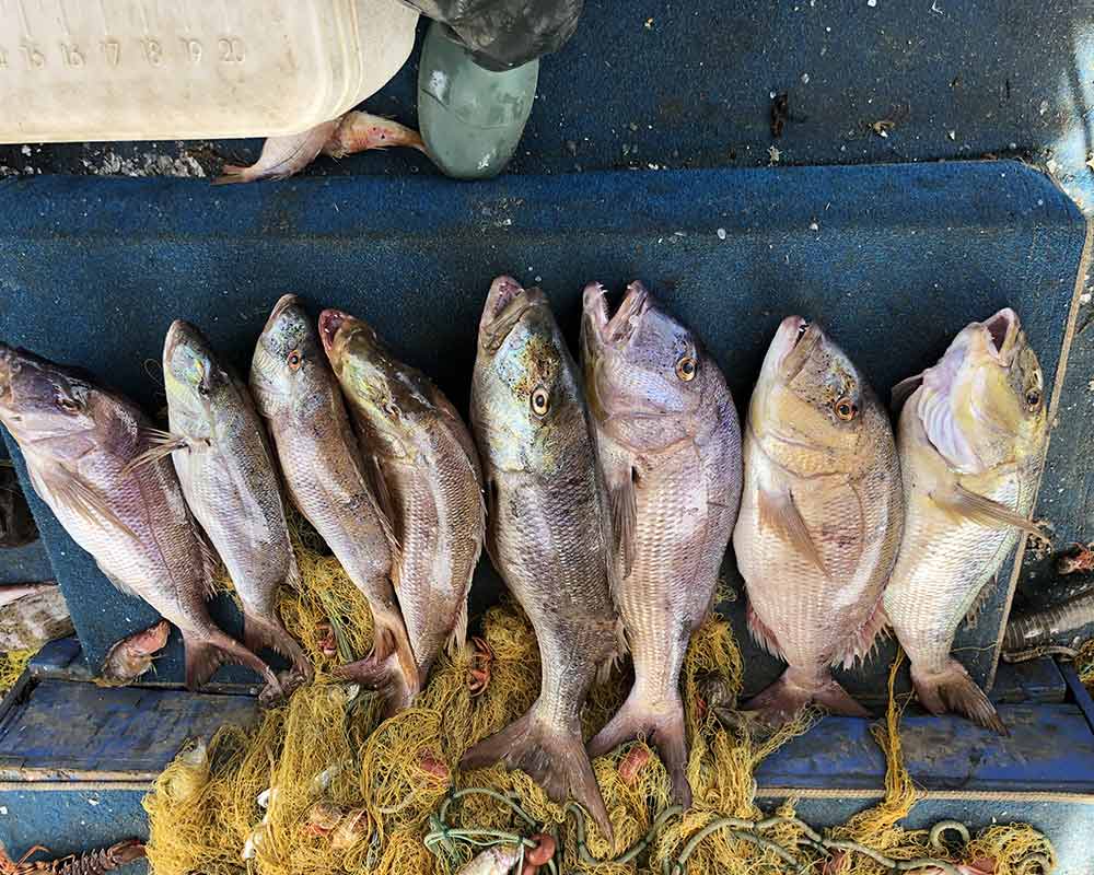 bali fishing trips 29